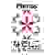 日女乙资料库