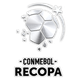 南美超杯资料库